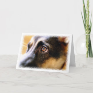 German Shepherd Card