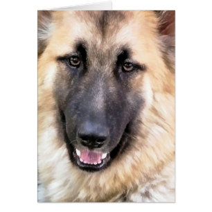 GERMAN SHEPHERD Card