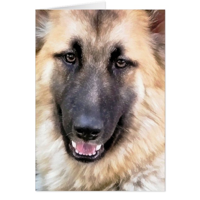 GERMAN SHEPHERD Card (Front)