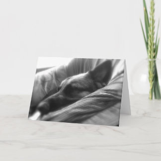 German Shepherd Card