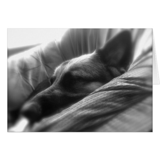German Shepherd Card
