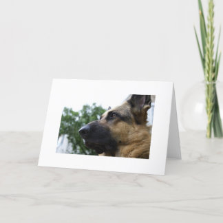 German Shepherd Card
