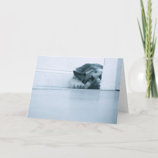German Shepherd Card