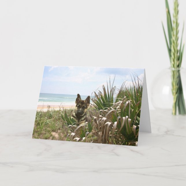 German Shepherd Card Beachgrass (Front)