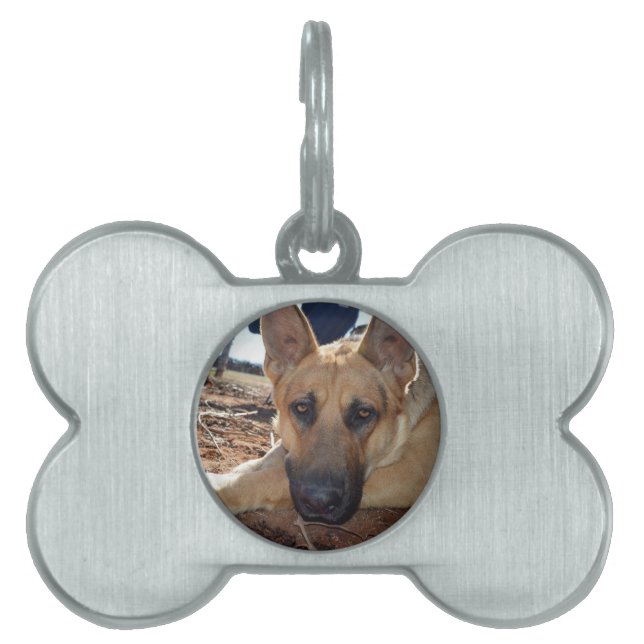 German Shepherd Cat Naps, Dog Bone Tag (Front)
