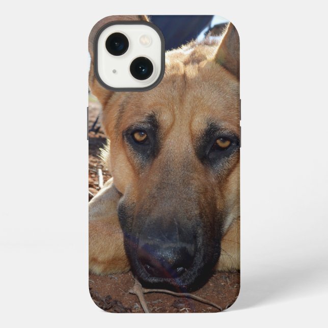 German Shepherd Cat Naps, iPhone 13 Case (Back)