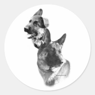 German Shepherd Charcoal 2 - Sticker