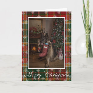 German shepherd christmas card