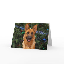German Shepherd Christmas Card