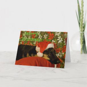 German Shepherd Christmas Card II