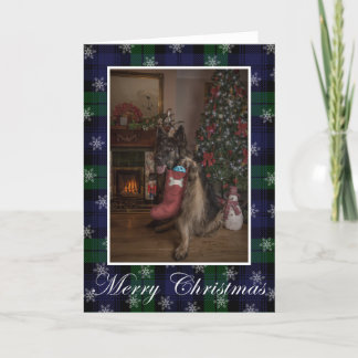 German shepherd christmas Folded Holiday Card