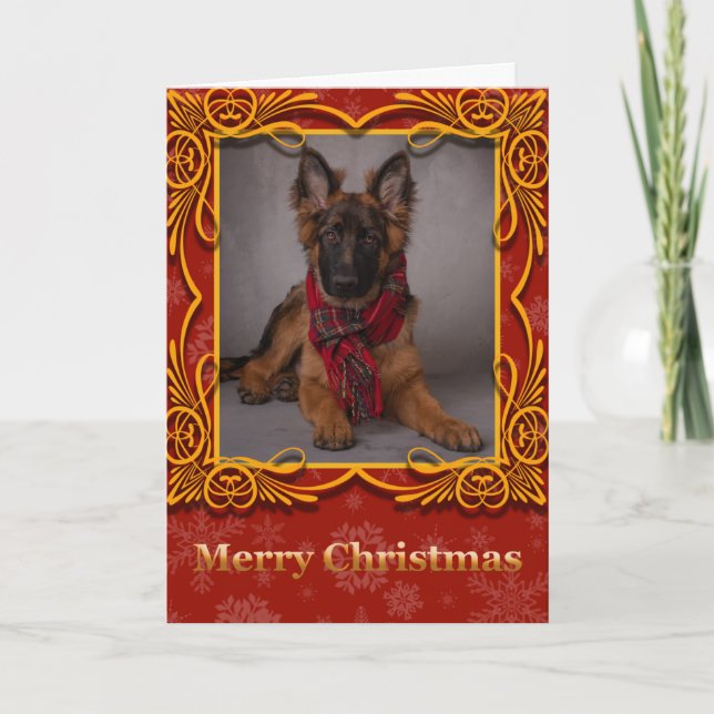 German shepherd Christmas holiday card. (Front)