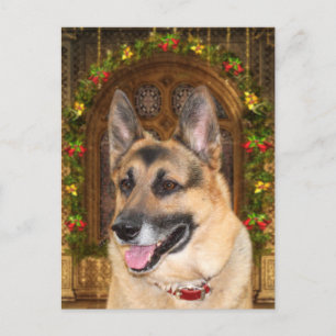 German Shepherd Christmas Holiday Postcard