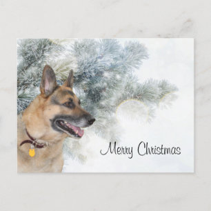 German Shepherd Christmas Holiday Postcard