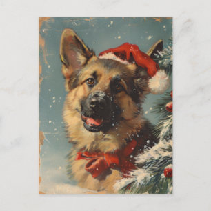 German shepherd Christmas Postcard