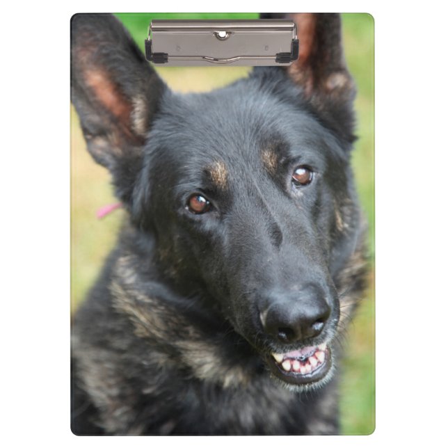 German Shepherd Clipboard (Front)