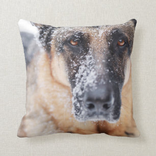 German Shepherd Closeup Covered In Snow Cushion