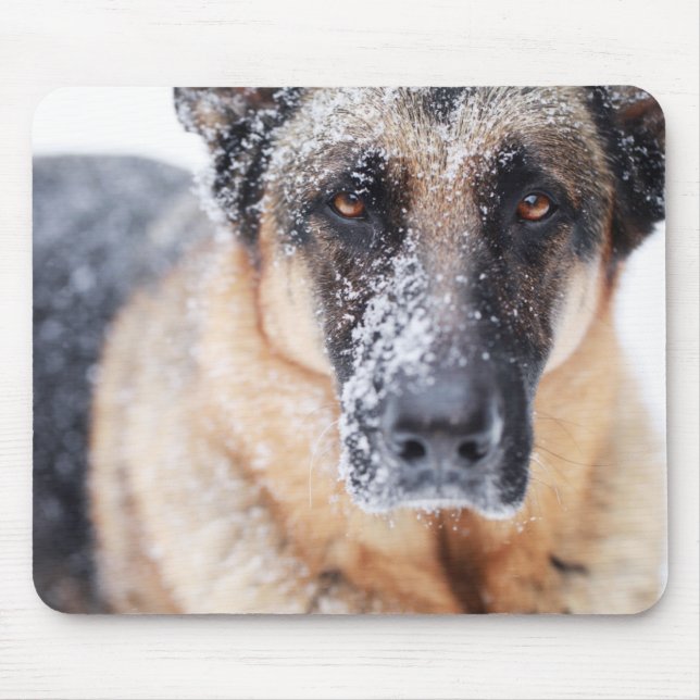 German Shepherd Closeup Covered In Snow Mouse Mat (Front)
