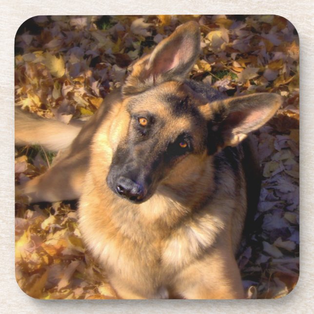 German Shepherd Coaster Set (Front)