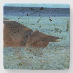 German Shepherd Crabbing Adventure, Stone Coaster