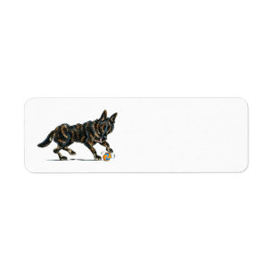 German Shepherd Dax