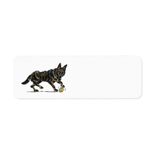 German Shepherd Dax (Front)