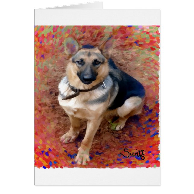 German Shepherd Dog (Front)