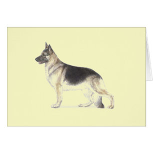 German Shepherd Dog