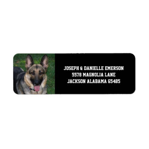 German Shepherd Dog Address Labels
