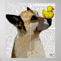 German Shepherd Dog and Duck