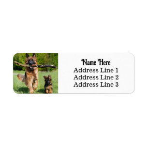 German Shepherd Dog and Puppy Return Address