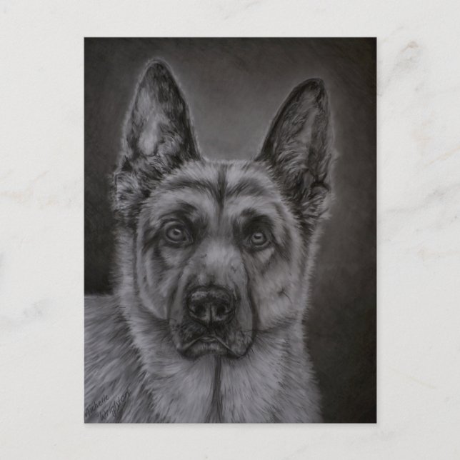 German Shepherd Dog Art - Noble Postcard (Front)