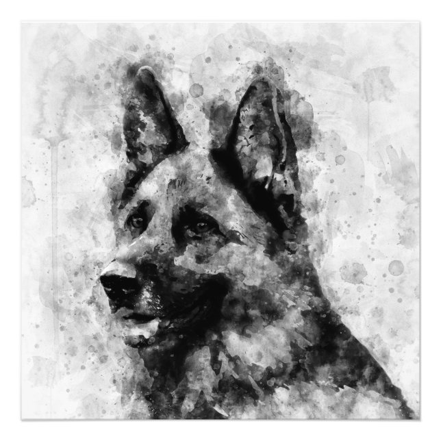German Shepherd Dog Black and White Watercolor  Photo Print (Front)