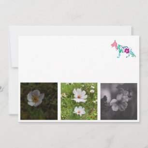 German Shepherd dog Black Thank You Card