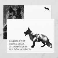 German Shepherd dog Black