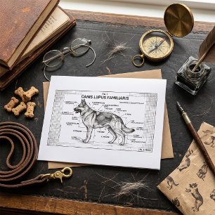 German Shepherd Dog Blueprint Card