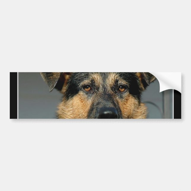 German Shepherd Dog Bumper Sticker (Front)