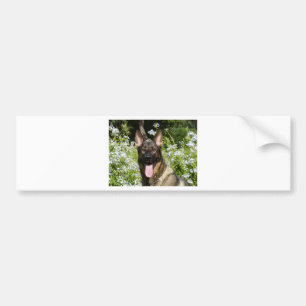 German Shepherd Dog Bumper Sticker