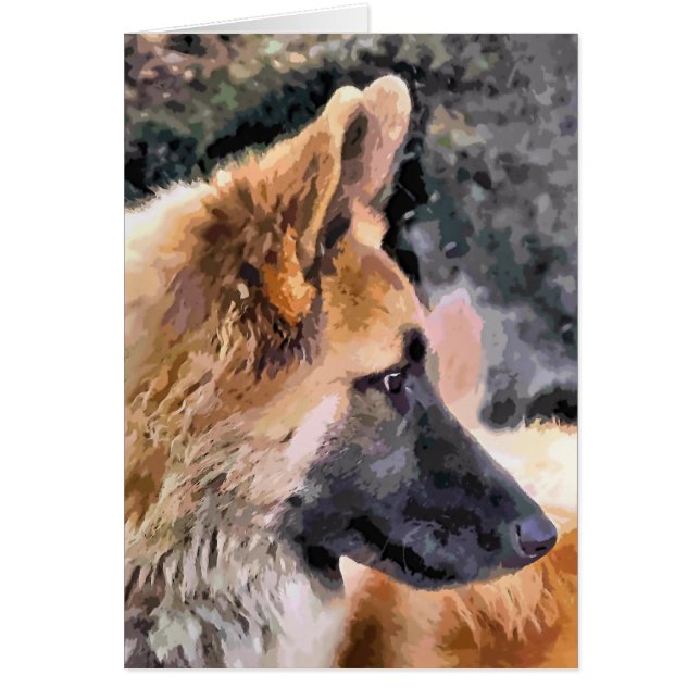 GERMAN SHEPHERD DOG card (Front)