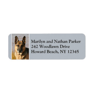 German Shepherd Dog Face Return Address Label 2