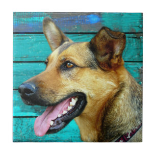 German Shepherd Dog Face Tile