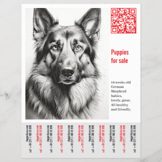 German Shepherd Dog Flyer