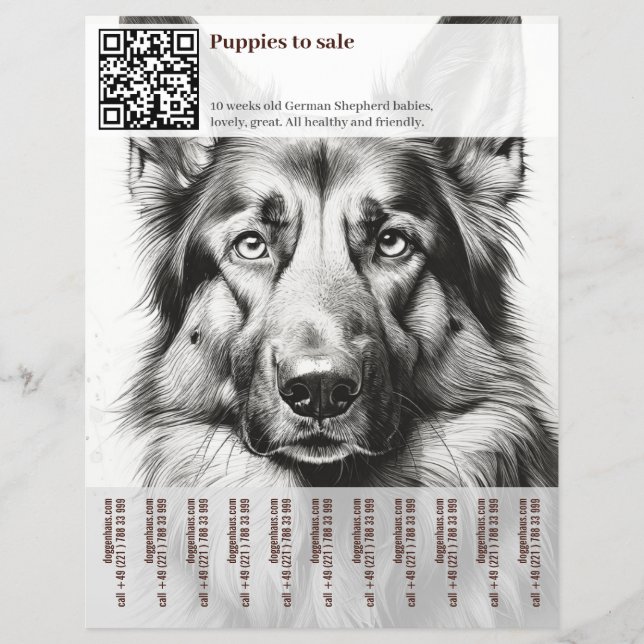 German Shepherd Dog Flyer  (Front)