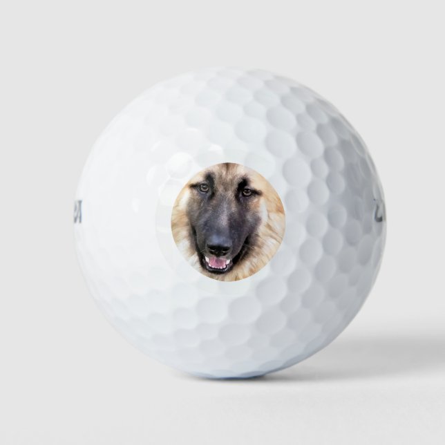 GERMAN SHEPHERD DOG GOLF BALLS (Front)
