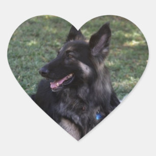 German Shepherd Dog Heart Sticker