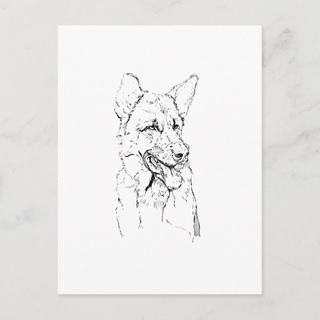 German Shepherd, Dog Illustration Personalised Postcard (Front)