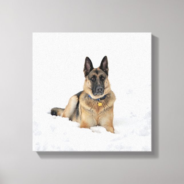 German Shepherd Dog In Snow Canvas print (Front)