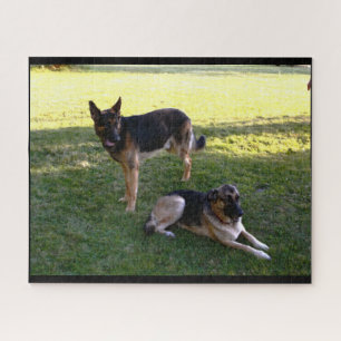 GERMAN SHEPHERD DOG JIGSAW PUZZLE