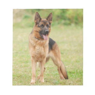 German shepherd dog notepad