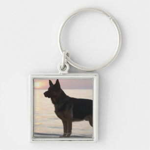 German Shepherd dog on Georgian Bay, Ontario, Key Ring